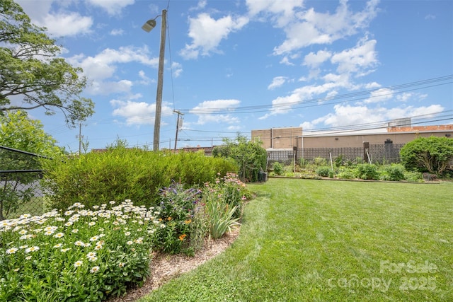 1300 Reece Rd Unit 206, Charlotte, NC 28209 - view of yard
