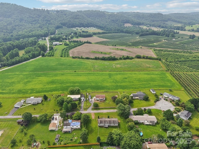 18 Sweet Briar Path Way, Hendersonville, NC 28792 - view of rural area featuring large plots for crops