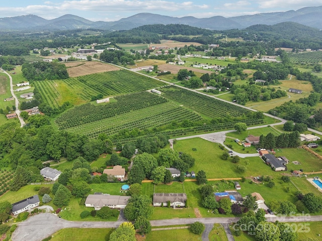 18 Sweet Briar Path Way, Hendersonville, NC 28792 - overview of rural landscape featuring rows of crops and a mountainous background