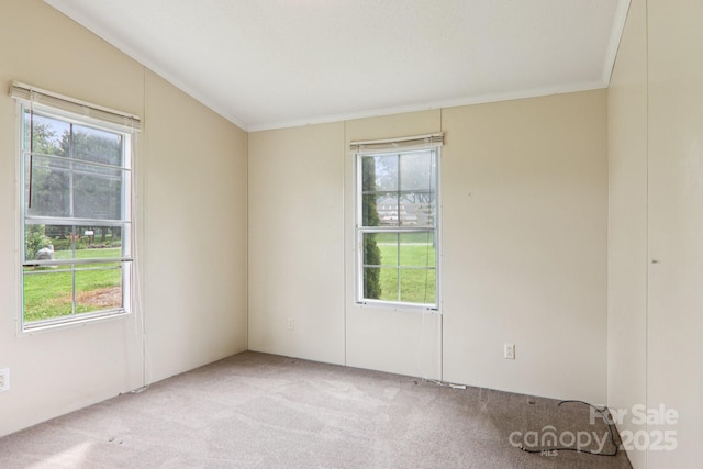 18 Sweet Briar Path Way, Hendersonville, NC 28792 - empty room featuring light carpet, healthy amount of natural light, and crown molding