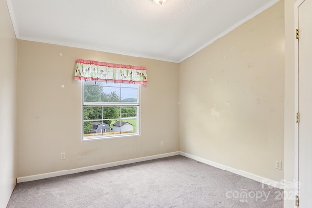 18 Sweet Briar Path Way, Hendersonville, NC 28792 - carpeted empty room with ornamental molding and baseboards