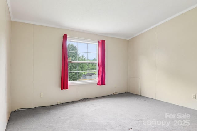 18 Sweet Briar Path Way, Hendersonville, NC 28792 - carpeted spare room featuring crown molding