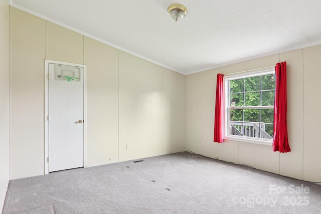 18 Sweet Briar Path Way, Hendersonville, NC 28792 - carpeted empty room with crown molding and vaulted ceiling