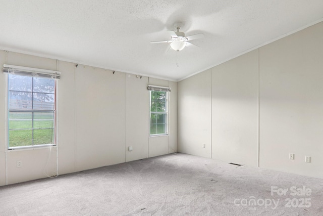 18 Sweet Briar Path Way, Hendersonville, NC 28792 - carpeted empty room featuring ceiling fan, plenty of natural light, and a textured ceiling