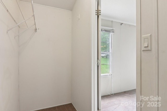 18 Sweet Briar Path Way, Hendersonville, NC 28792 - spacious closet featuring carpet floors