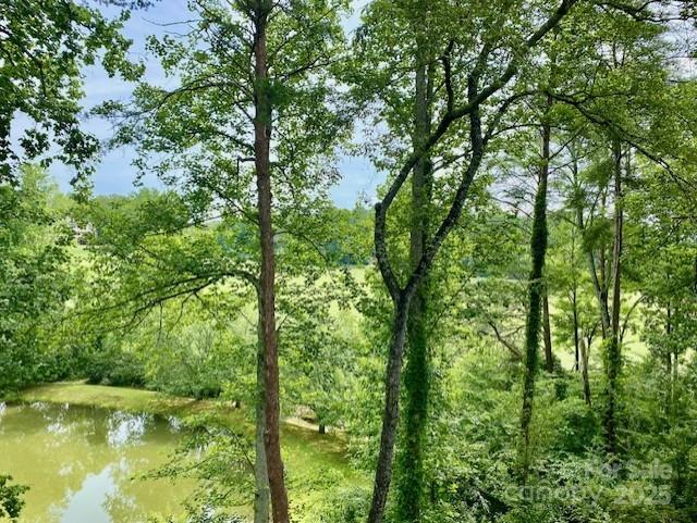 186 Stonecrest Ct, Lake Lure, NC 28746 - view of woods with a water view