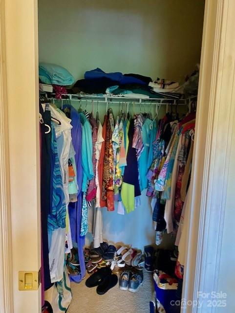 186 Stonecrest Ct, Lake Lure, NC 28746 - view of closet