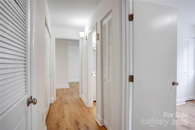 4806 Spring Lake Dr Unit D, Charlotte, NC 28212 - hallway with light wood-style floors and baseboards