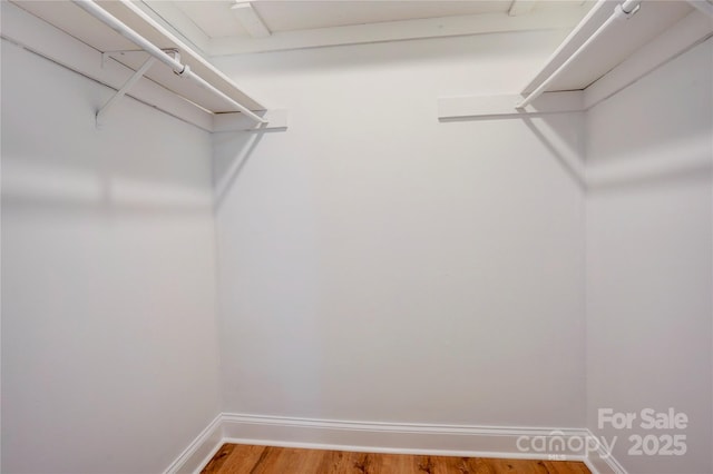 4806 Spring Lake Dr Unit D, Charlotte, NC 28212 - walk in closet featuring light wood-type flooring
