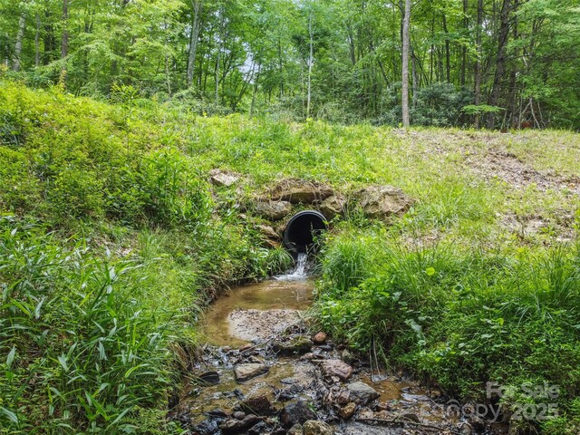 275 Bulldog Ln, Green Mountain, NC 28740 - view of yard