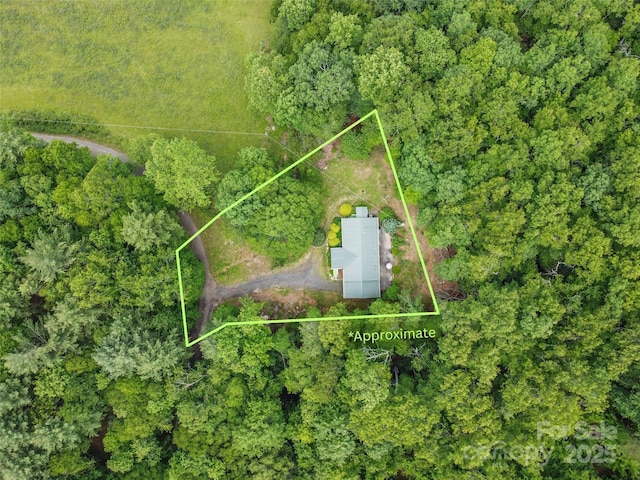 275 Bulldog Ln, Green Mountain, NC 28740 - aerial overview of property's location featuring property boundaries highlighted
