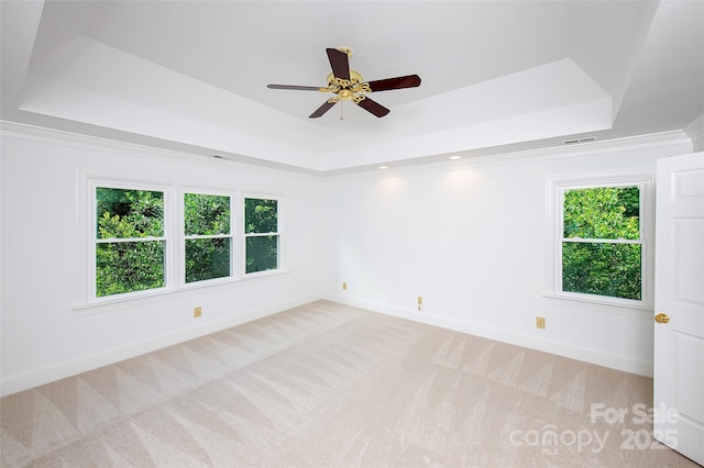 10408 Hadleigh Pl, Charlotte, NC 28210 - unfurnished room with a tray ceiling, light colored carpet, and a ceiling fan