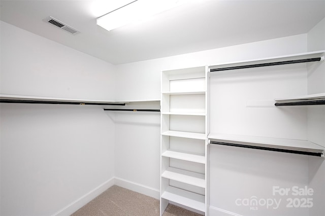 10408 Hadleigh Pl, Charlotte, NC 28210 - spacious closet featuring light carpet