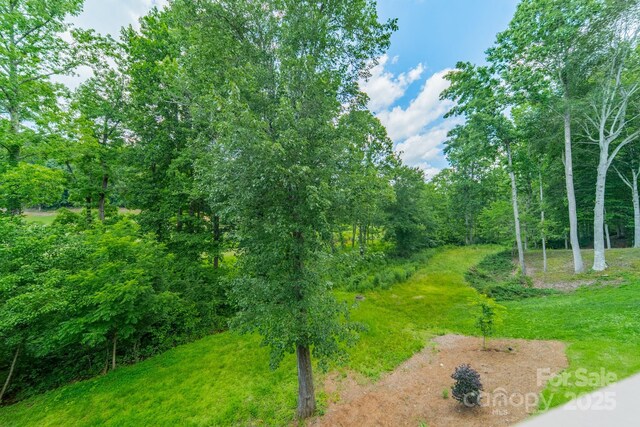 1543 Withers Dr, Denver, NC 28037 - photo 32