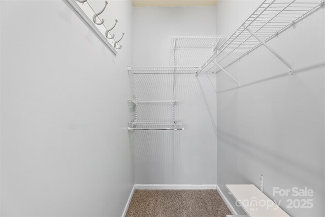 448 River Park Rd, Belmont, NC 28012 - walk in closet with carpet