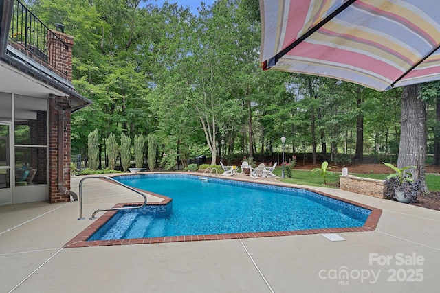 1317 Longleaf Ct, Matthews, NC 28104 - outdoor pool featuring a patio, view of scattered trees, and a diving board