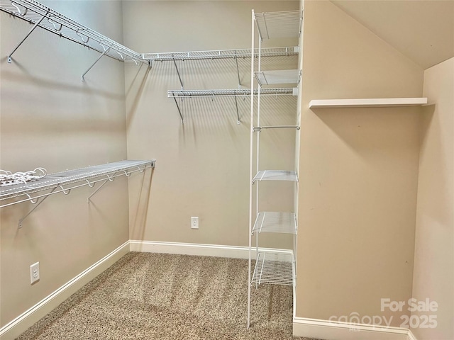 1302 Devonmere Pl, Salisbury, NC 28144 - walk in closet featuring carpet flooring and vaulted ceiling