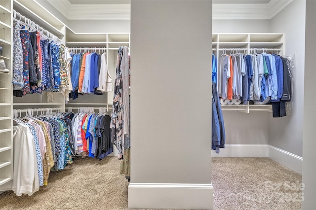 6216 N Rd, York, SC 29745 - walk in closet with carpet floors