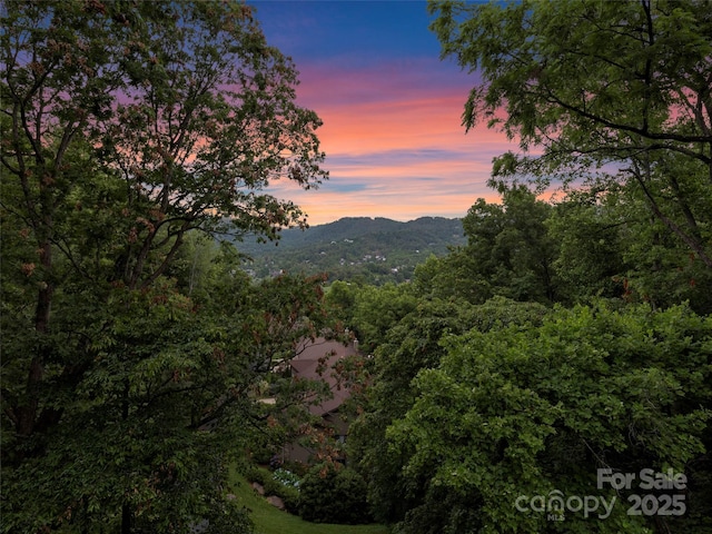 3301 Timber Trl, Asheville, NC 28804 - photo 36