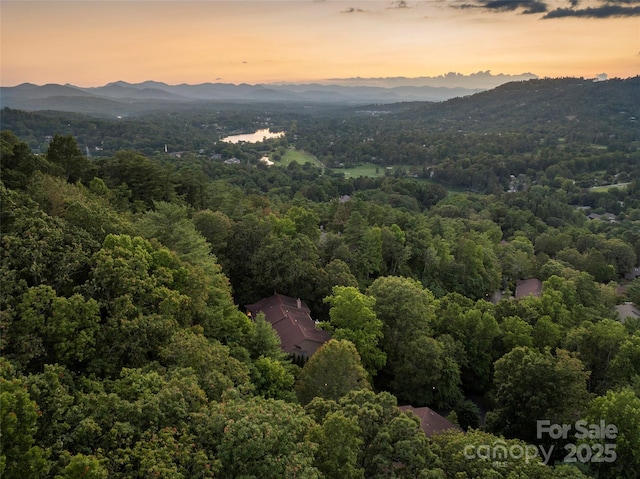 3301 Timber Trl, Asheville, NC 28804 - photo 37