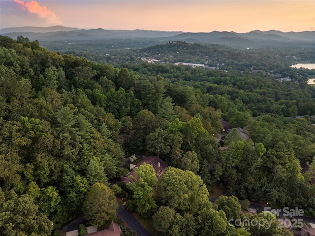 3301 Timber Trl, Asheville, NC 28804 - photo 38