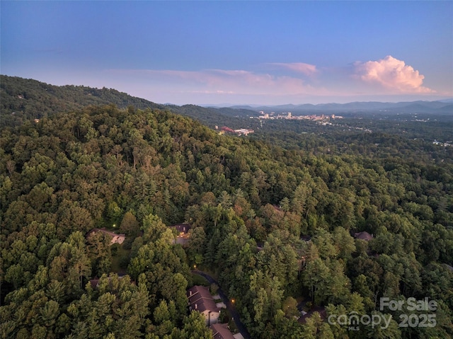3301 Timber Trl, Asheville, NC 28804 - photo 39