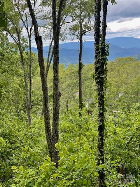 LOT81 Ball Camp Rd Unit 81/1, Burnsville, NC 28714 - photo 2