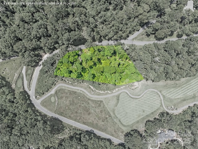 LOT81 Ball Camp Rd Unit 81/1, Burnsville, NC 28714 - photo 5