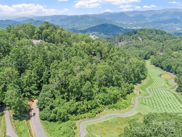 LOT81 Ball Camp Rd Unit 81/1, Burnsville, NC 28714 - photo 6