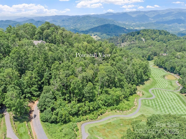 LOT81 Ball Camp Rd Unit 81/1, Burnsville, NC 28714 - photo 7