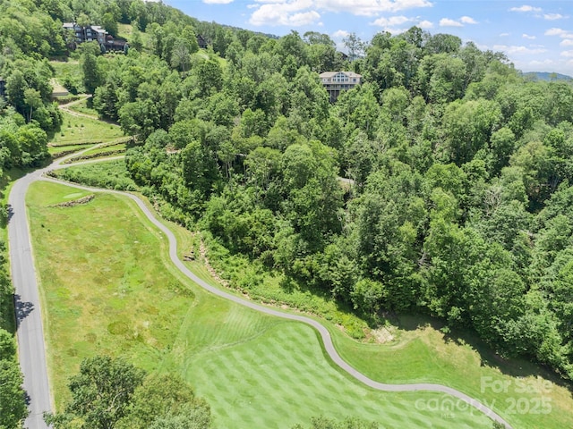 LOT81 Ball Camp Rd Unit 81/1, Burnsville, NC 28714 - photo 8