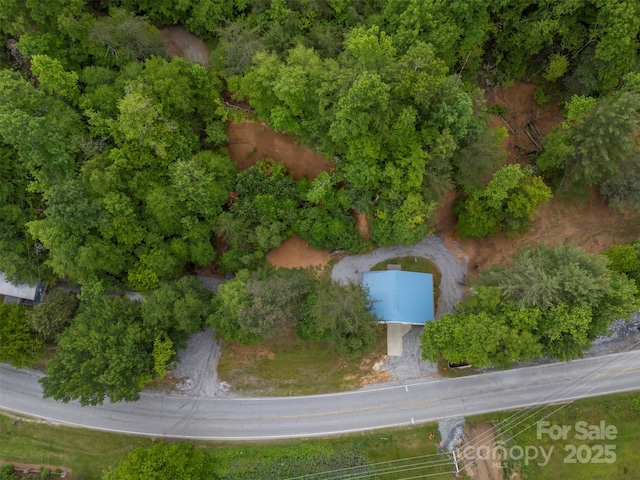 4250 Chimney Rock Rd, Hendersonville, NC 28792 - photo 7