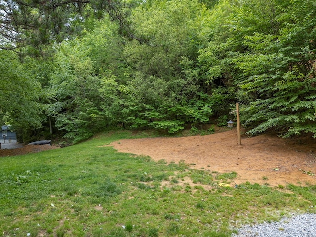 4250 Chimney Rock Rd, Hendersonville, NC 28792 - photo 23