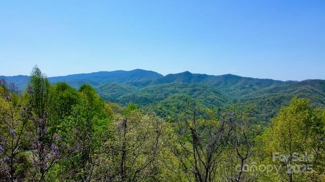 00 Smoky View Dr, Bryson City, NC 28713