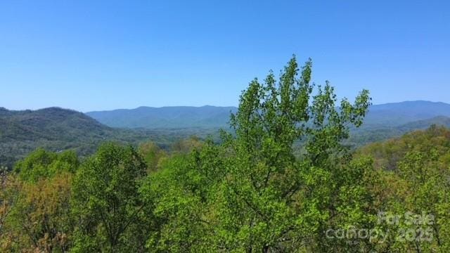00 Smoky View Dr, Bryson City, NC 28713