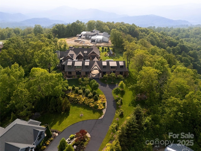 93 N Snow Ridge Dr, Hendersonville, NC 28792 - photo 2