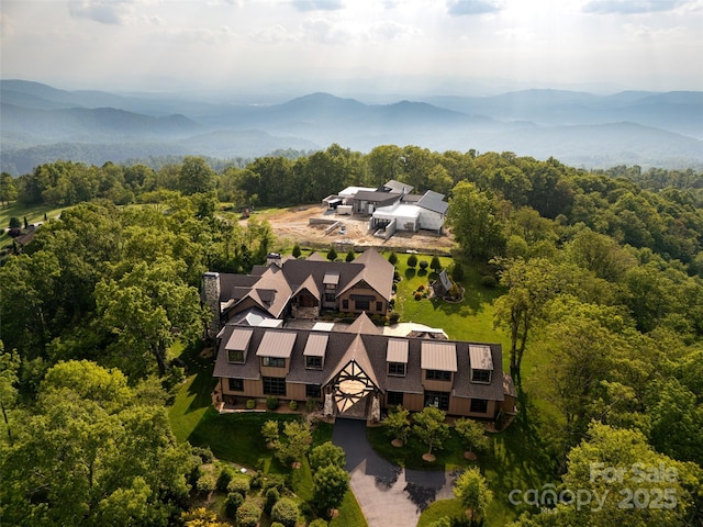 93 N Snow Ridge Dr, Hendersonville, NC 28792 - photo 3