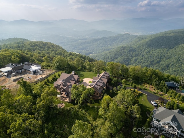 93 N Snow Ridge Dr, Hendersonville, NC 28792 - photo 4