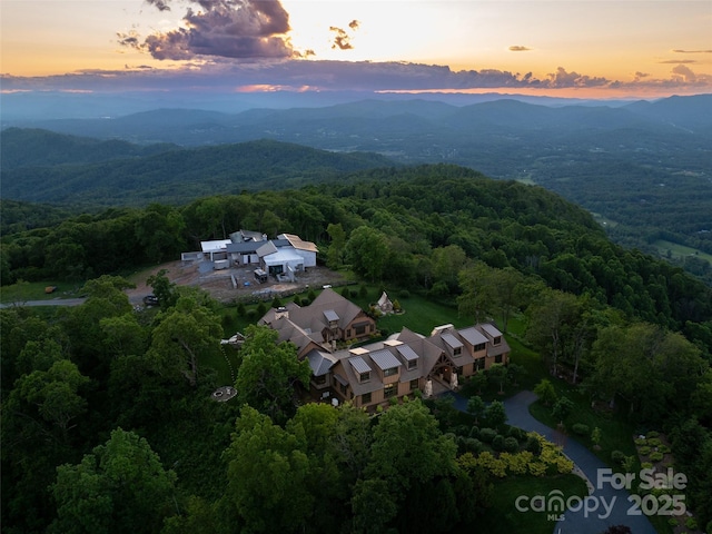 93 N Snow Ridge Dr, Hendersonville, NC 28792 - photo 48