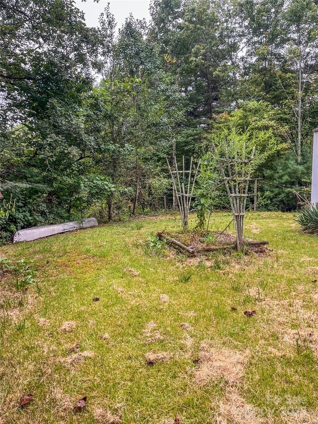 17 Howell Rd, Brevard, NC 28712 - photo 3
