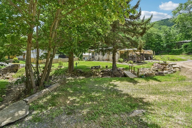 19 Lockman Rd, Maggie Valley, NC 28751 - view of yard