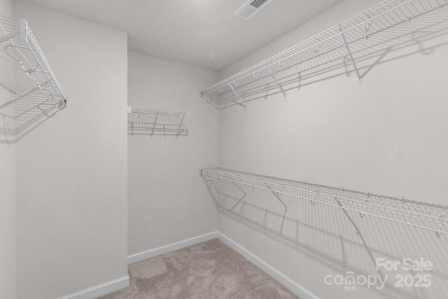 1022 Jeffery Dean Ct, Albemarle, NC 28001 - spacious closet with carpet
