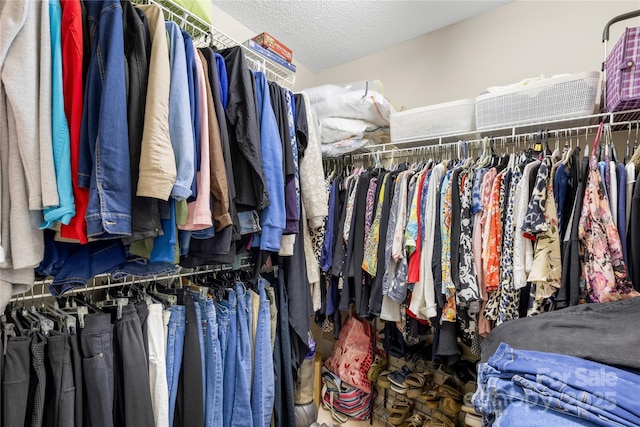 2490 Hawk Ridge Dr, Gastonia, NC 28056 - view of walk in closet