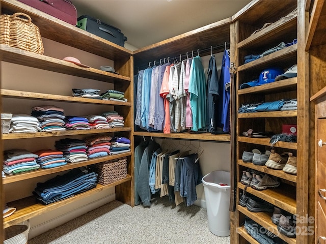 21 Fern Haven Ln, Fairview, NC 28730 - walk in closet with carpet flooring