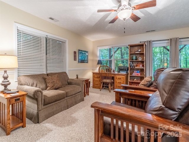 21 Fern Haven Ln, Fairview, NC 28730 - carpeted living area with ceiling fan and a textured ceiling
