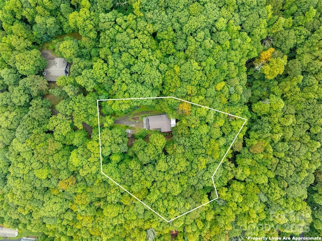 21 Fern Haven Ln, Fairview, NC 28730 - view of property location featuring property boundaries highlighted