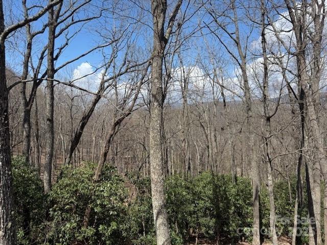 21 Fern Haven Ln, Fairview, NC 28730 - view of wooded area