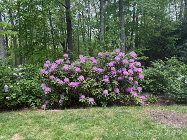 21 Fern Haven Ln, Fairview, NC 28730 - view of yard