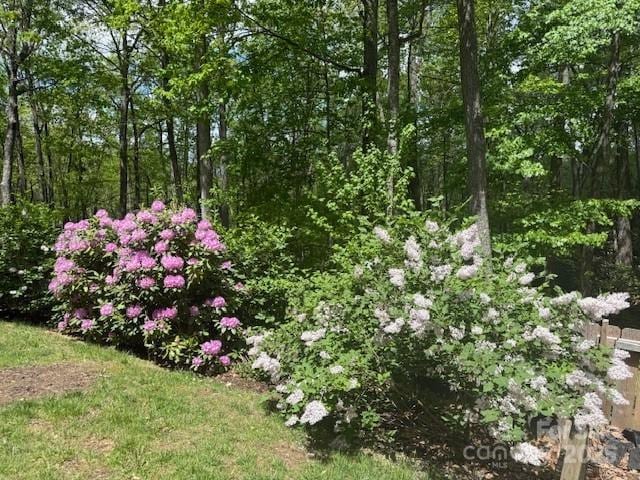 21 Fern Haven Ln, Fairview, NC 28730 - view of yard