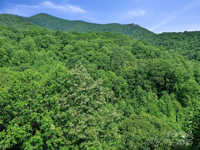 2TBD Lotties Creek Rd Unit 19, 20, 23, 25, 26, 27, Burnsville, NC 28714 - photo 11